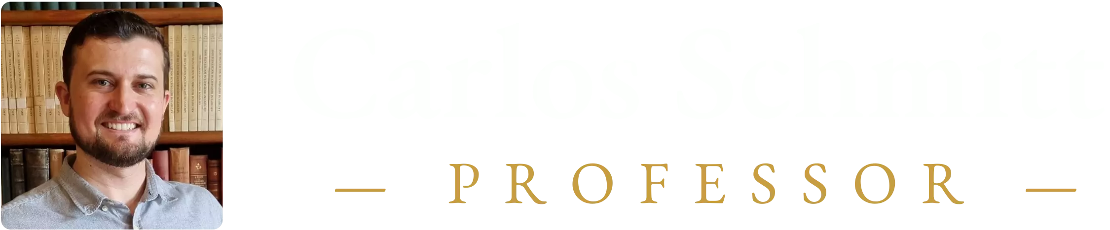 Aulas particulares, em grupo e empresariais com o Professor Carlos Schmitt, especialista em Letras com ampla experiência.